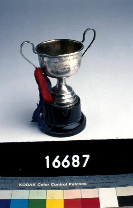 Trophy for model skiff sailing