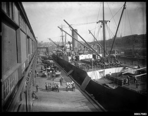 Cargo vessel being loaded or unloaded at a wharf