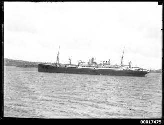 MORETON BAY on Sydney Harbour