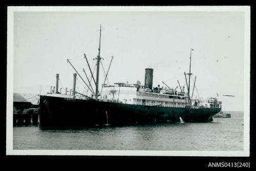 SS DIMBOOLA, Melbourne Steamship Company