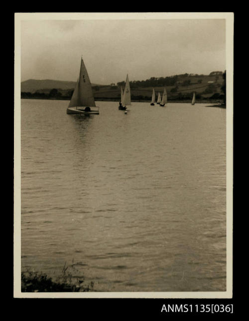 Group of sailboats at sea