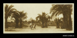 Postcard from Cairo collected by Douglas Ballantyne Fraser