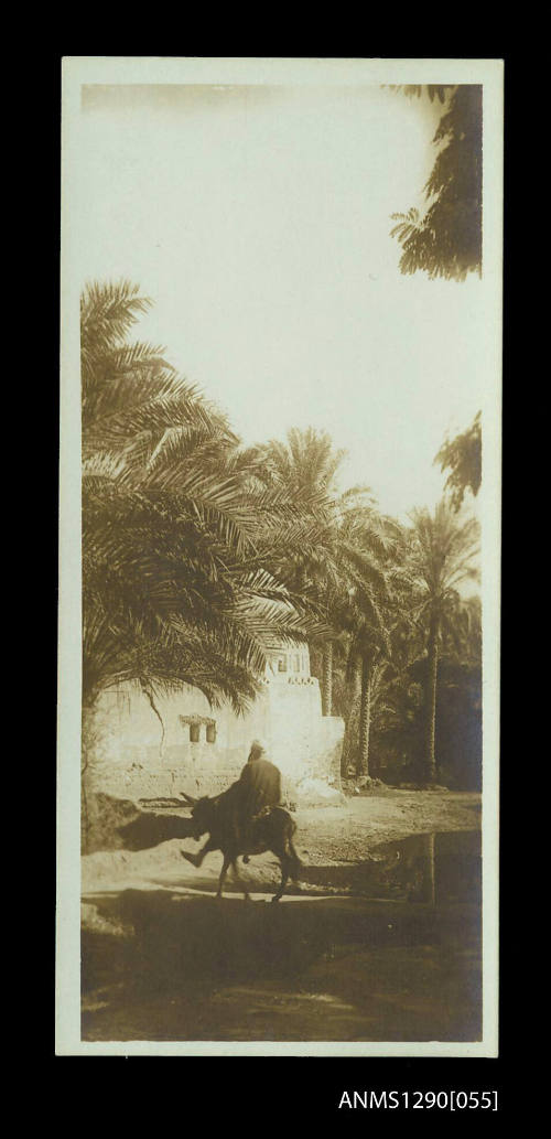 Postcard from Cairo collected by Douglas Ballantyne Fraser