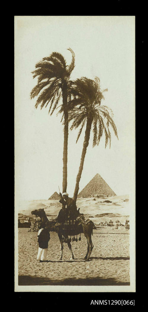 Postcard from Cairo collected by Douglas Ballantyne Fraser