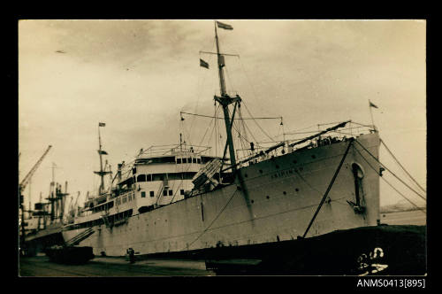 Photograph of depicting the cargo ship ISIPINGO