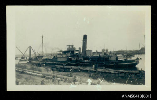 Steam ship LATONA at Wickham, New South Wales