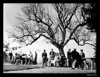 Garden of refugee camp overlooking the Danube River