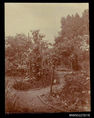 View of garden