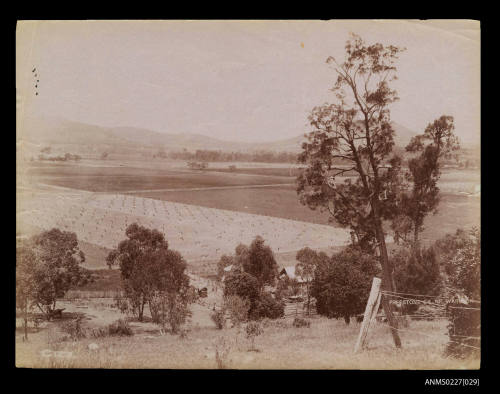 Freestone Creek, near Warwick