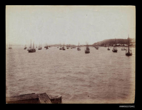 Pearl oyster fleet,  Thursday Island