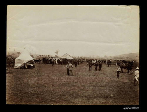 Ploughing match, Laidley