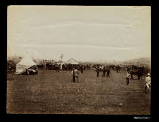 Ploughing match, Laidley