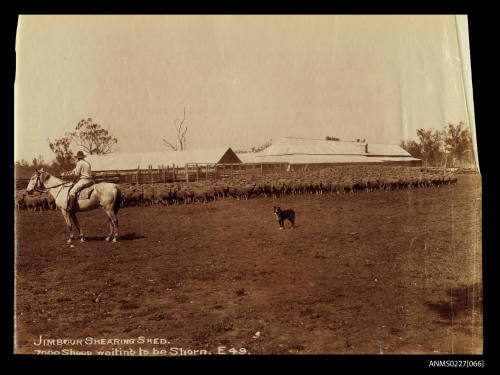 Jimbour shearing shed, Queensland