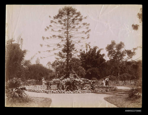 Fountain in Botanic Gardens, Brisbane