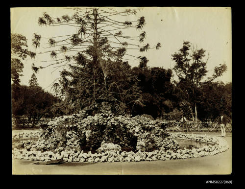 View in Botanic Gardens, Brisbane