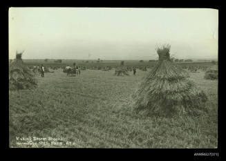 Making storm stooks, Hermitage State Farm