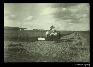 Reaping and binding wheat at Hermitage State Farm