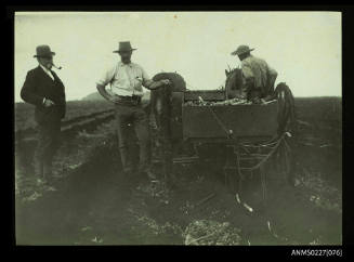 Planting sugar cane, Bundaberg