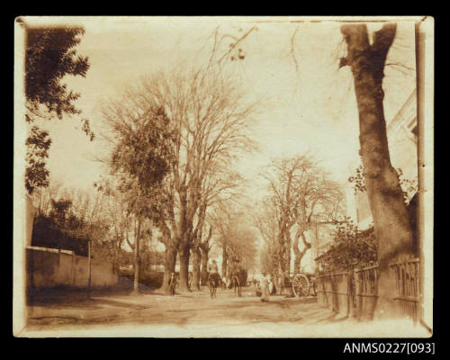 Street scene, South Africa