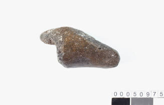 Piece of fossilised Whalebone