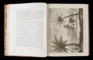 Page 24, with Plate VI opposite titled 'House and Plantation of a Chief of the Island of Otahei…