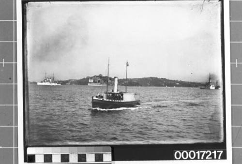 US battleships of the Great White Fleet in Sydney Harbour