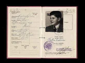 Passport issued to Walter Lederer